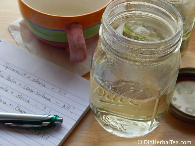 Mason Jar Tea Infuser - Each | Mountain Rose Herbs