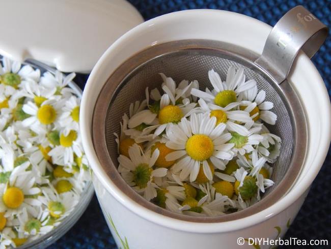 Teaze Over The Cup Infuser - Prepare a Cup with Ease